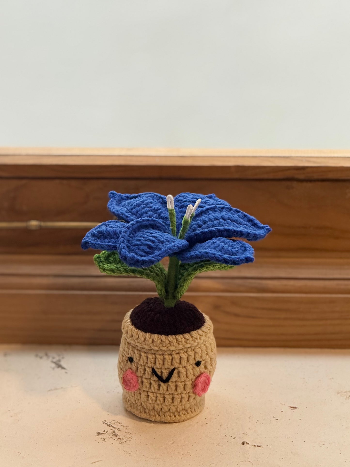 Lily Crochet Pot