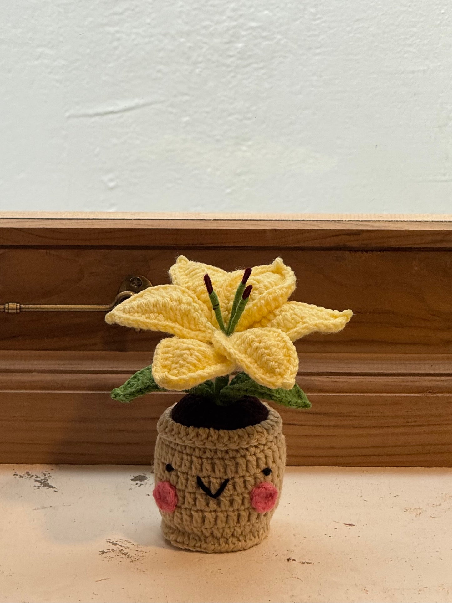 Lily Crochet Pot