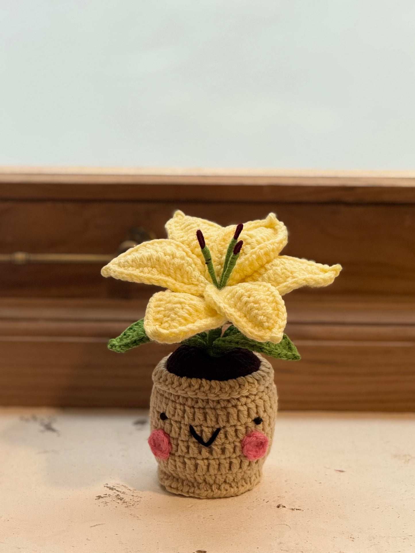 Lily Crochet Pot