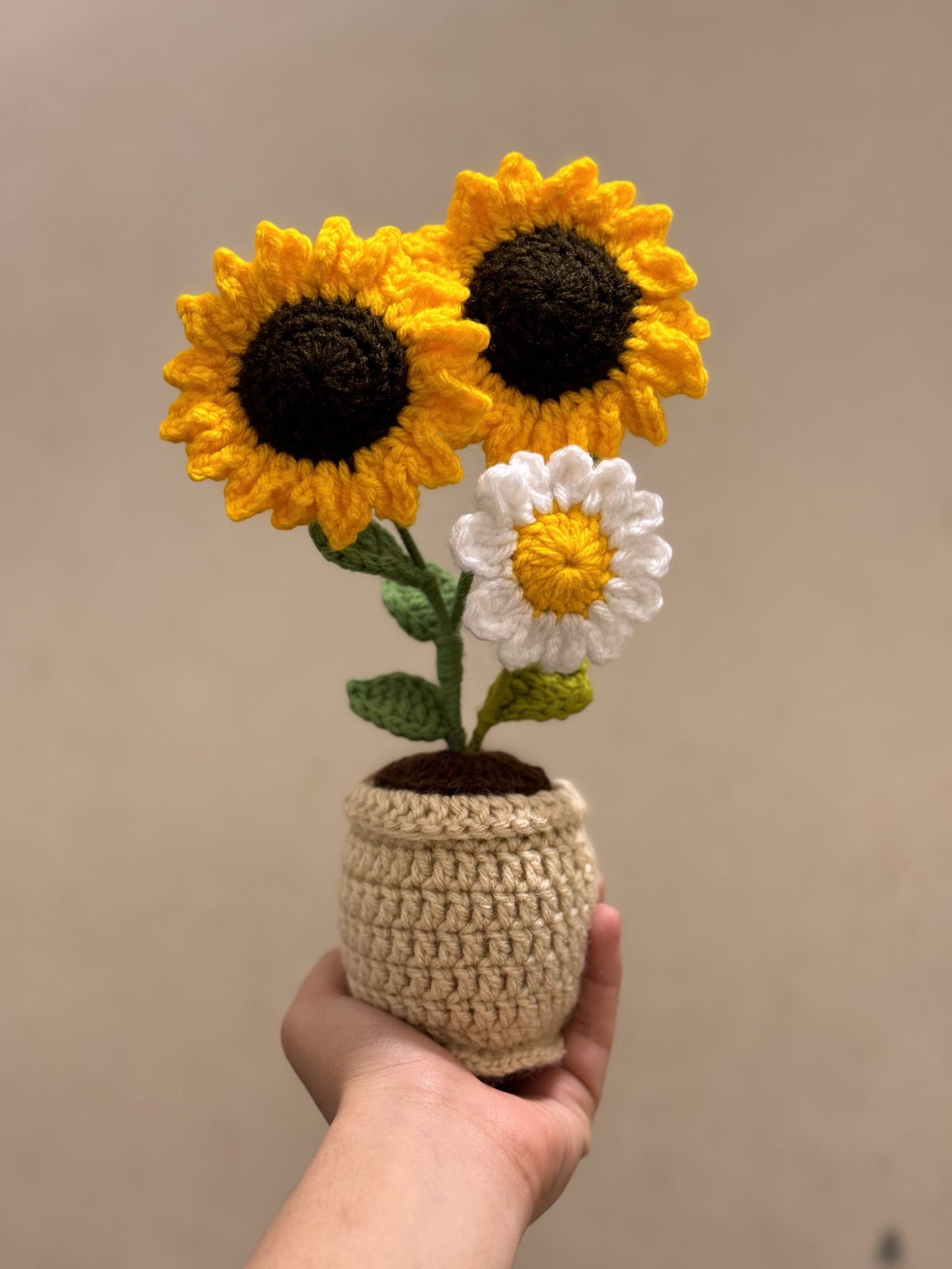 Sunflowers & Daisy Pot