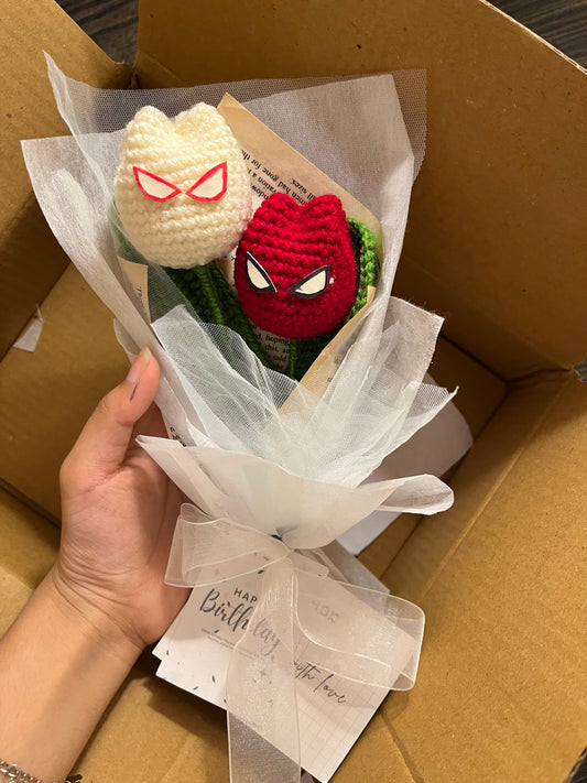 Webbed Wonder Crochet Duo🕷️❤️