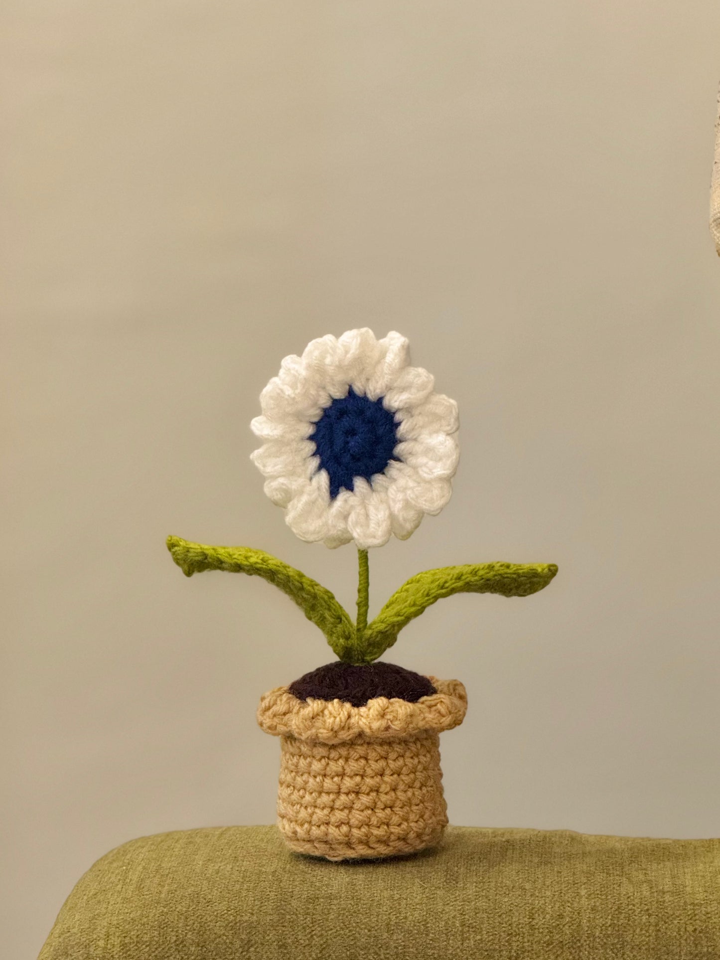 Daisy Crochet Pot