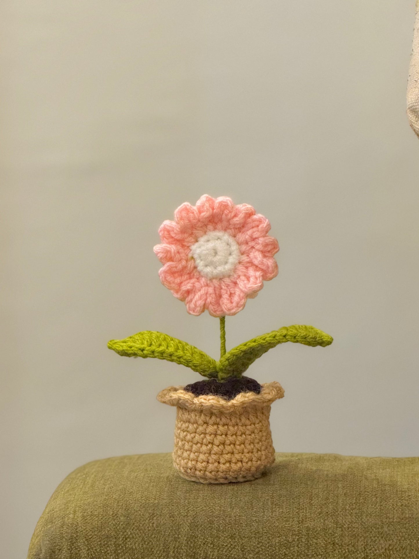 Daisy Crochet Pot