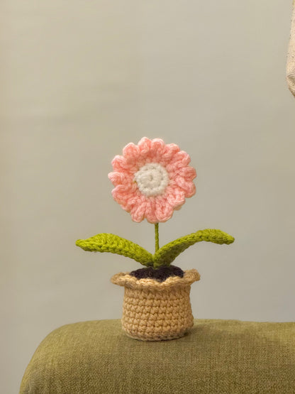 Daisy Crochet Pot