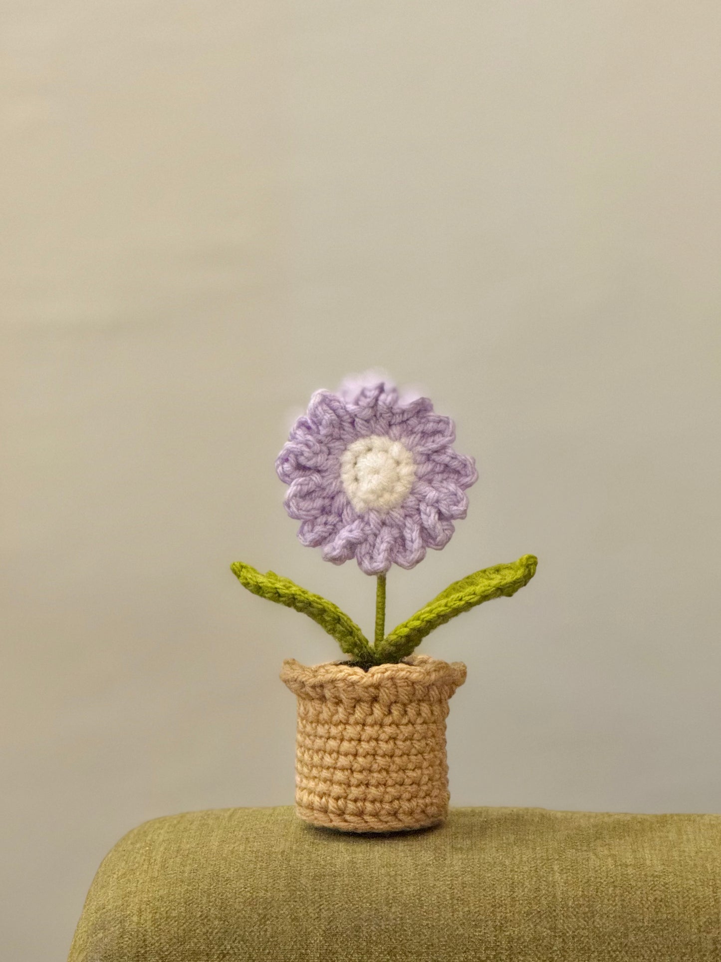 Daisy Crochet Pot