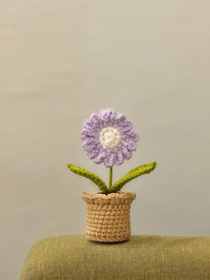 Daisy Crochet Pot