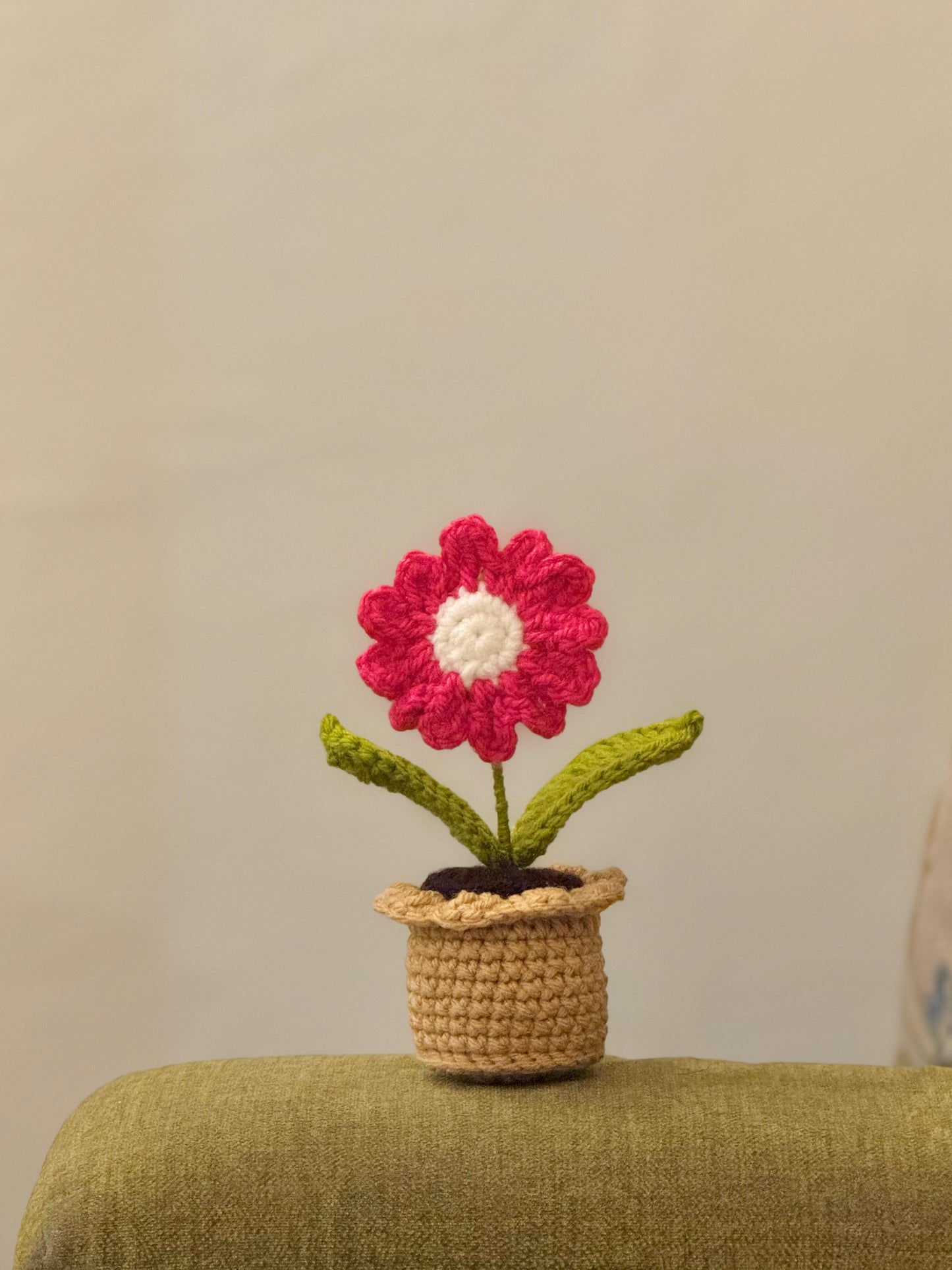 Daisy Crochet Pot