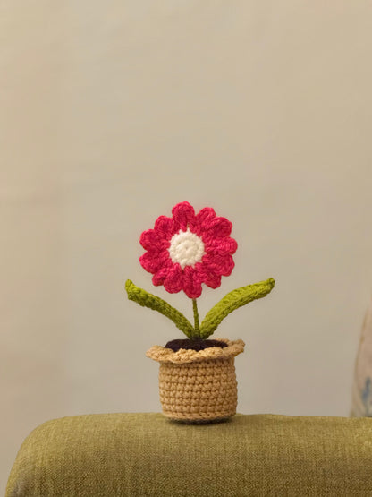 Daisy Crochet Pot