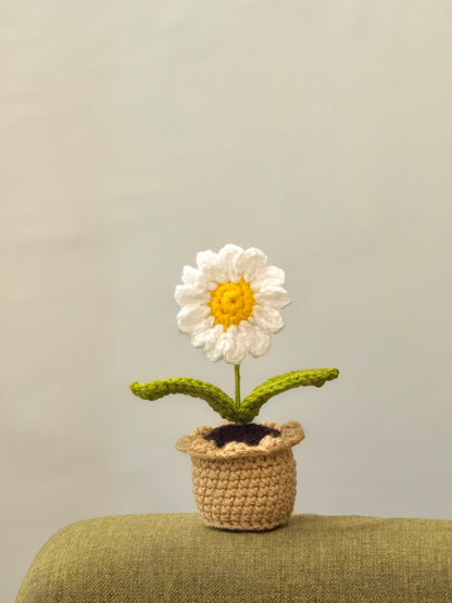 Daisy Crochet Pot