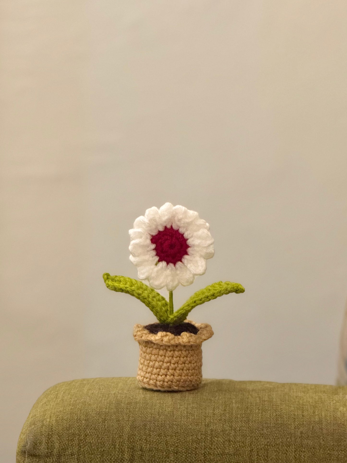 Daisy Crochet Pot