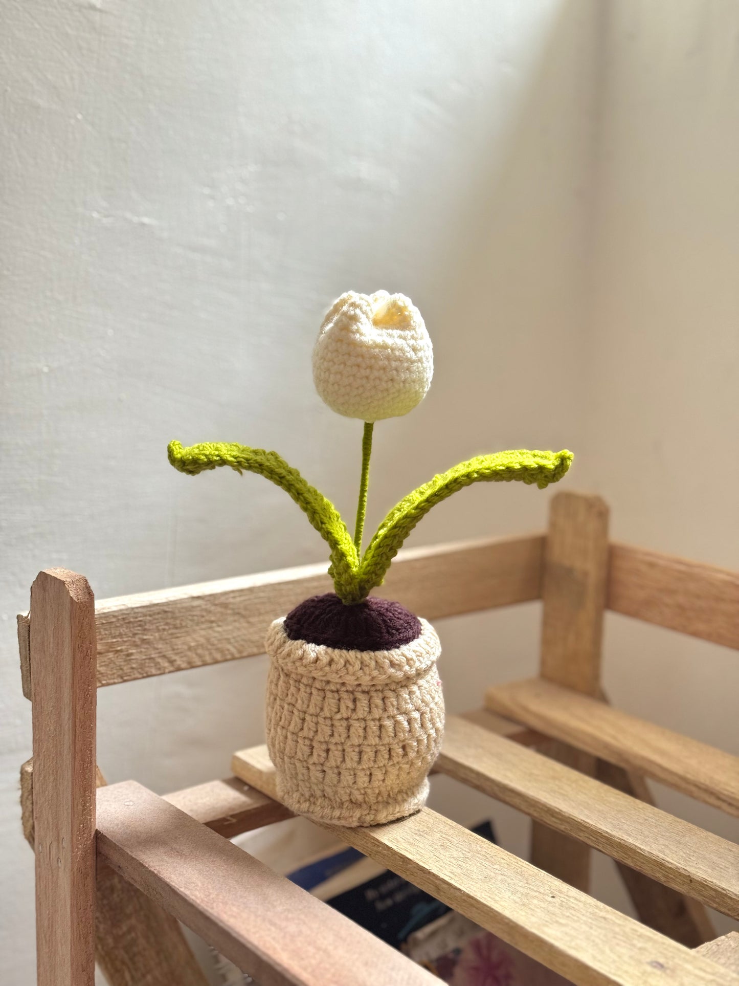 Happy Little Bloom🌷