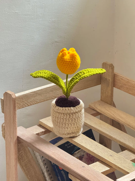 Happy Little Bloom🌷