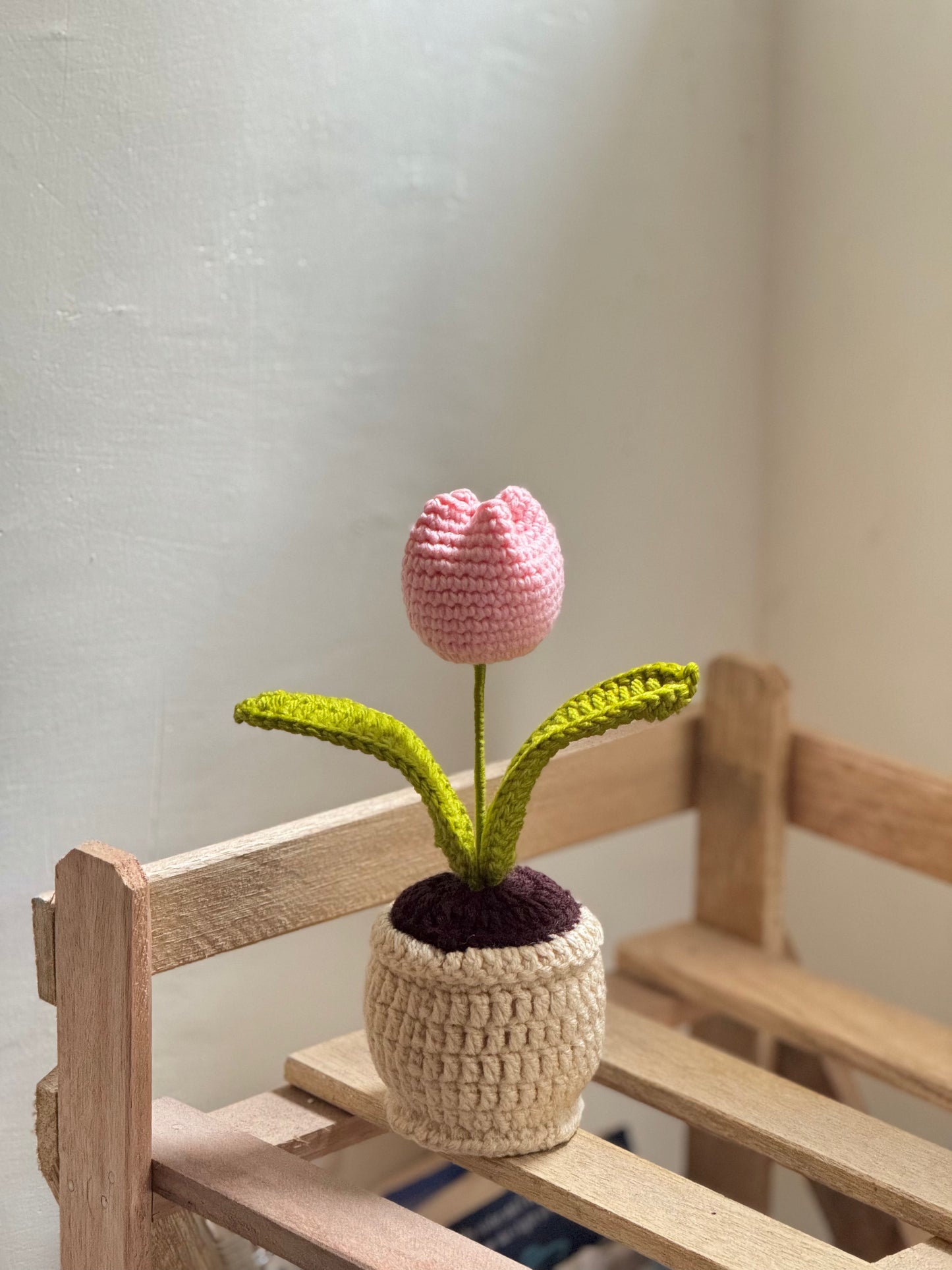 Happy Little Bloom🌷