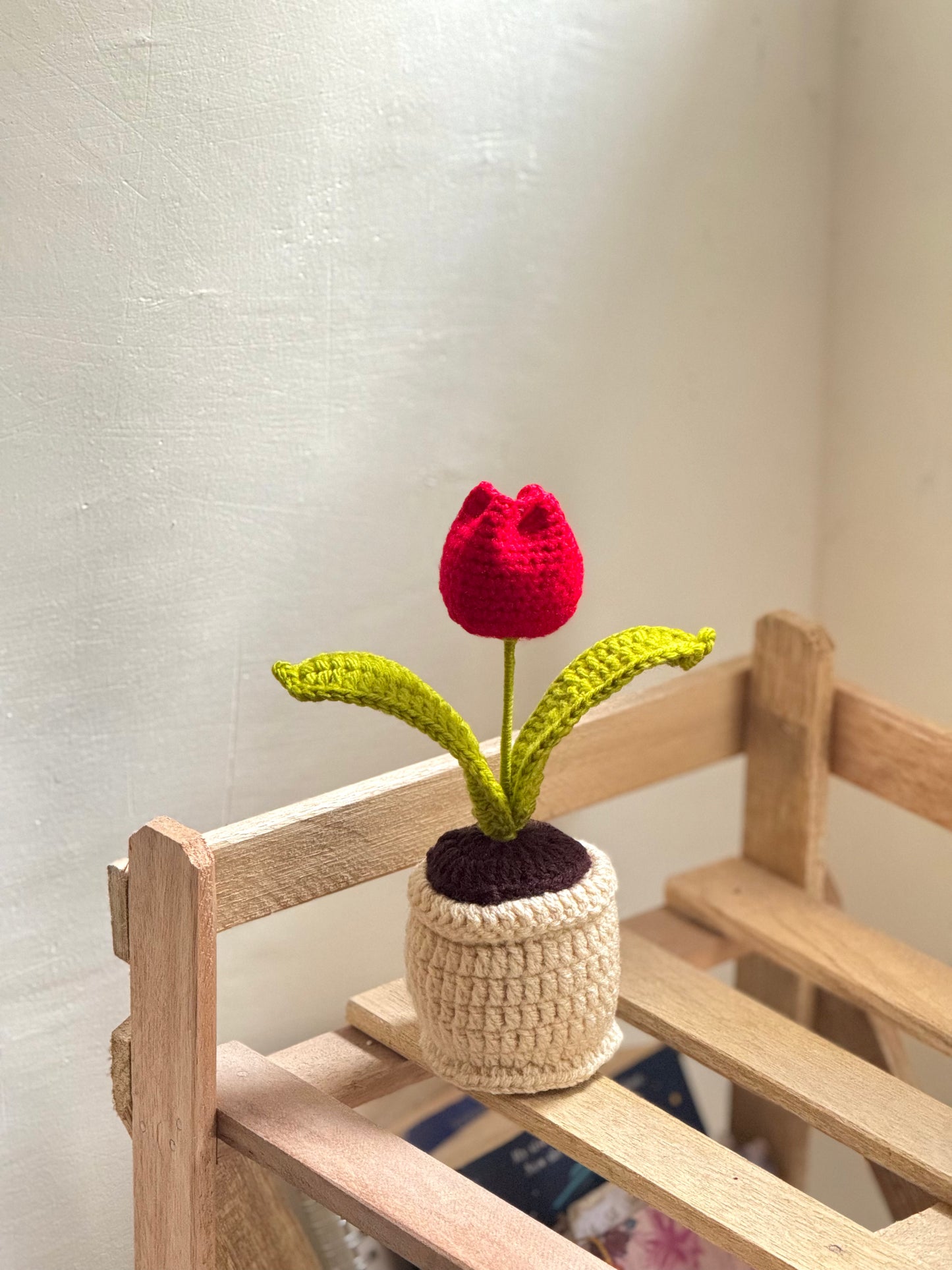 Happy Little Bloom🌷