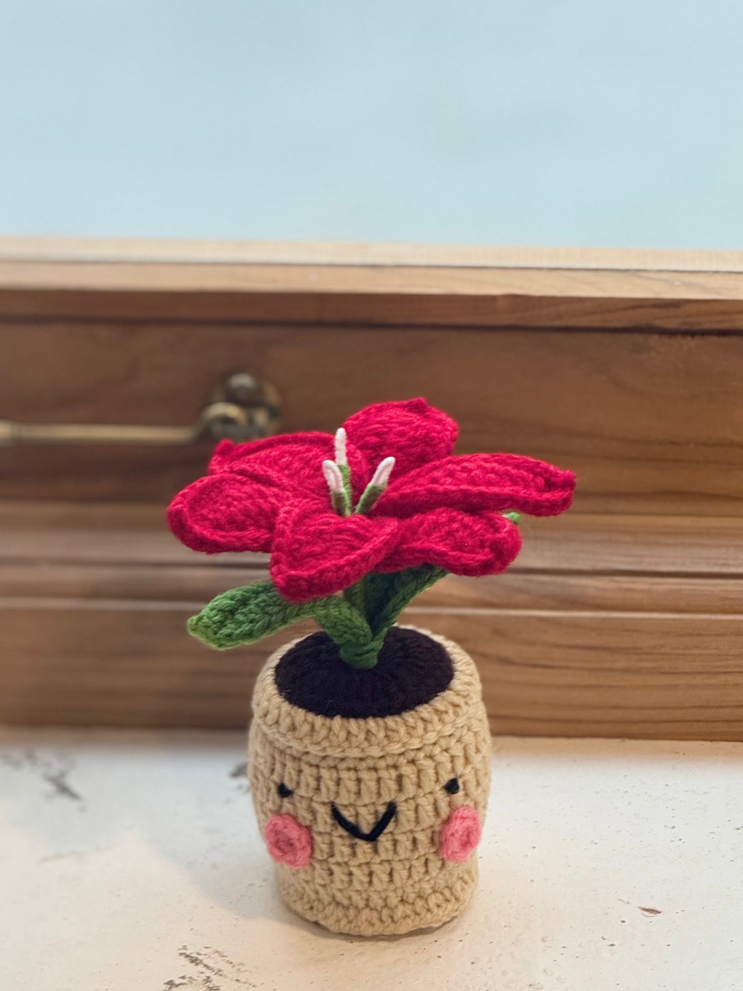Lily Crochet Pot