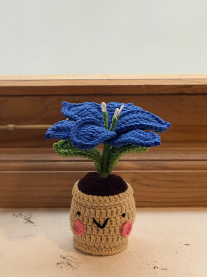 Lily Crochet Pot