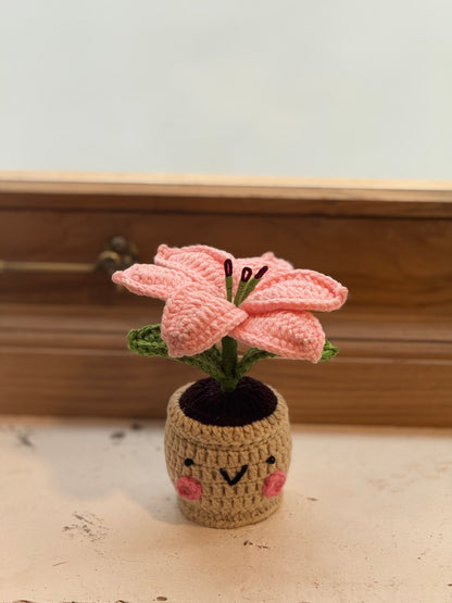 Lily Crochet Pot