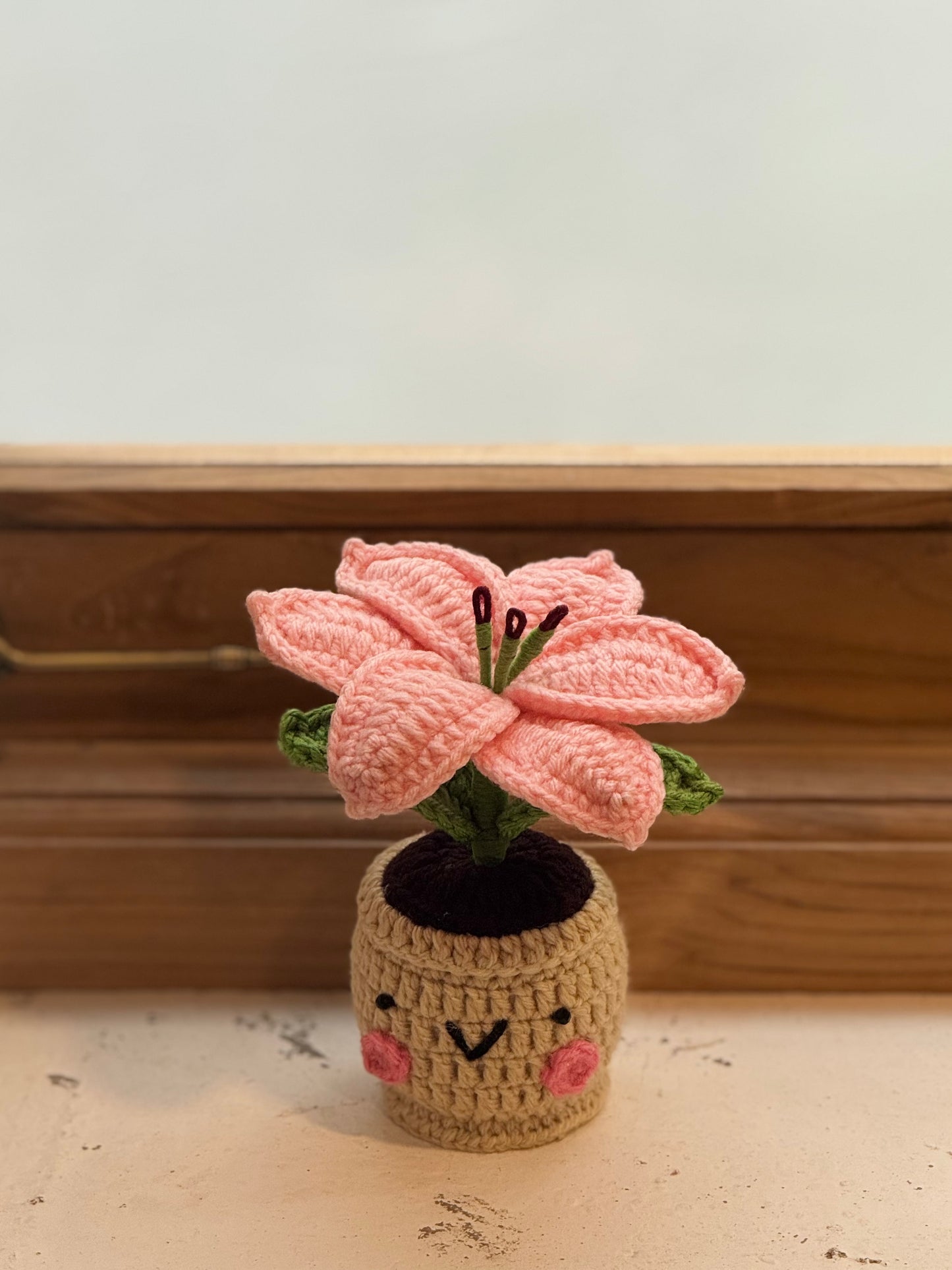 Lily Crochet Pot
