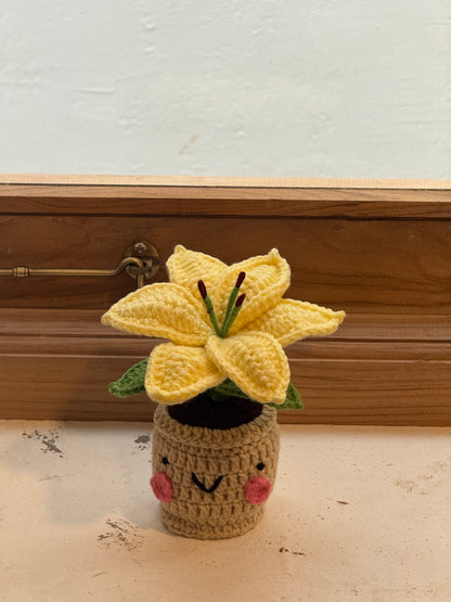 Lily Crochet Pot