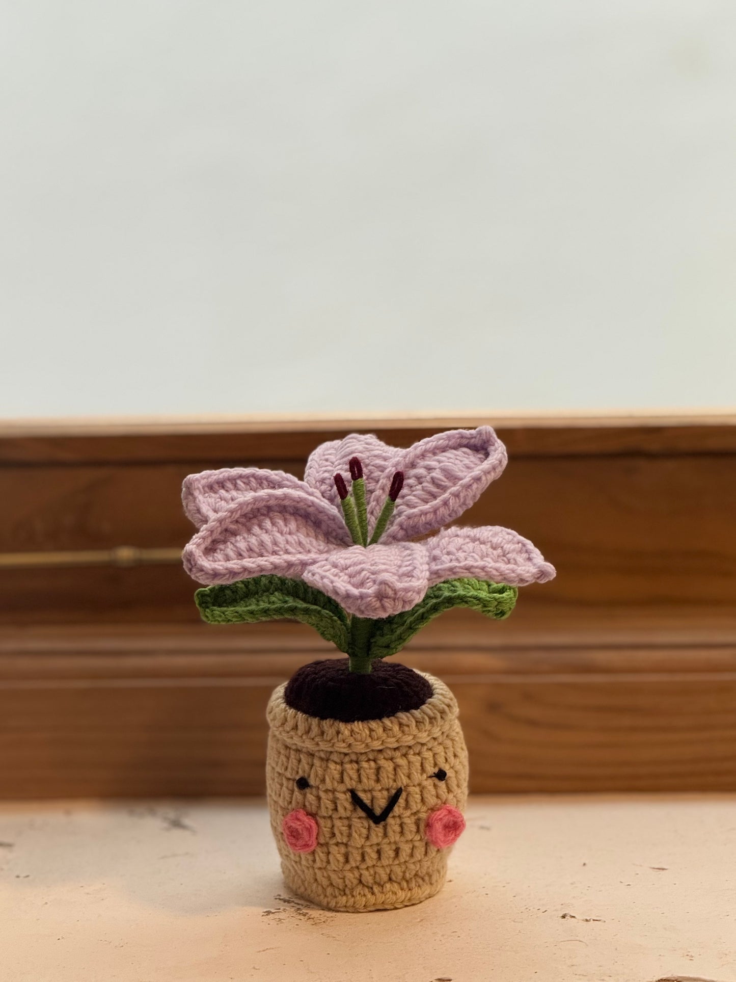 Lily Crochet Pot