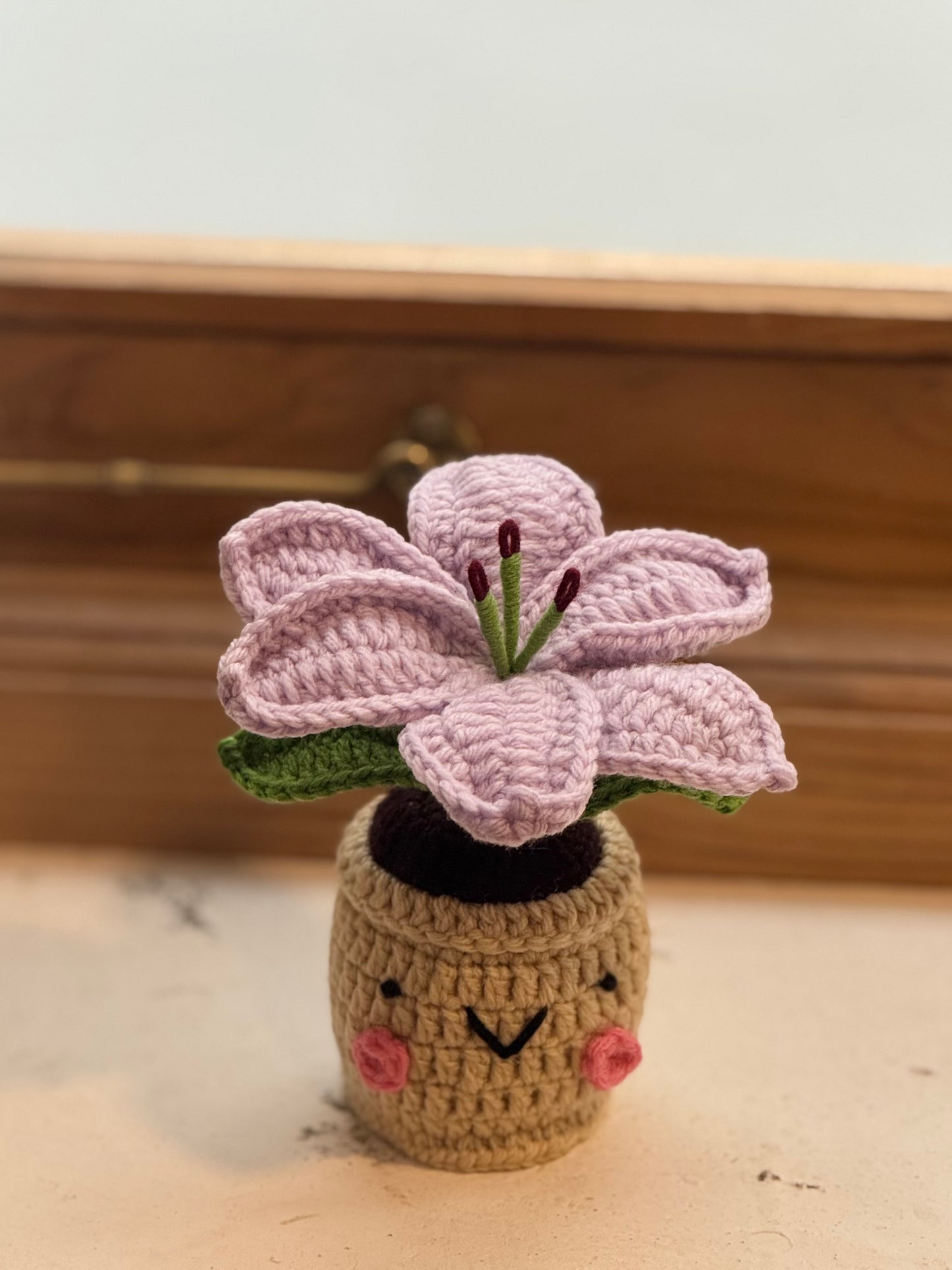 Lily Crochet Pot