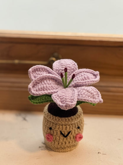 Lily Crochet Pot