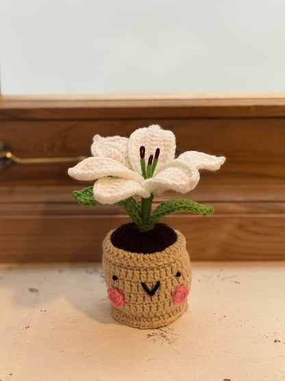 Lily Crochet Pot