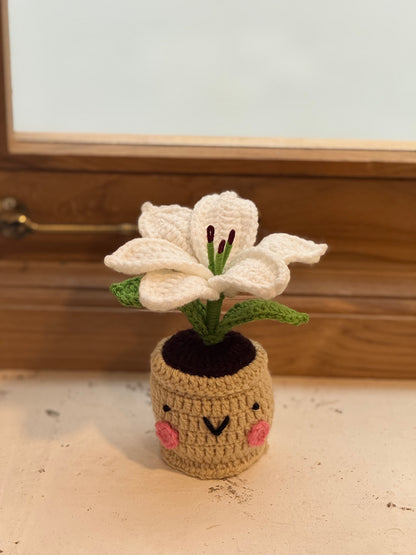 Lily Crochet Pot