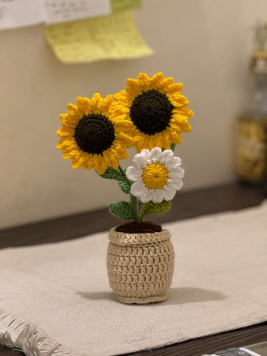Sunflowers & Daisy Pot