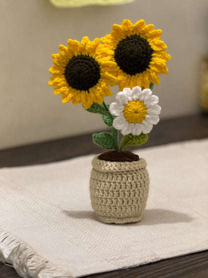 Sunflowers & Daisy Pot