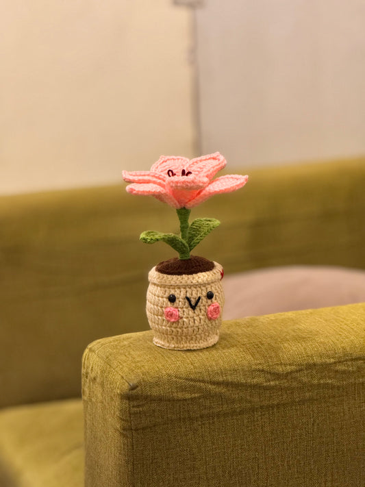 Lily Crochet Pot