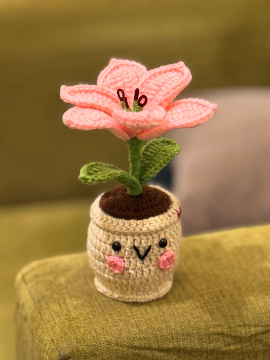 Lily Crochet Pot