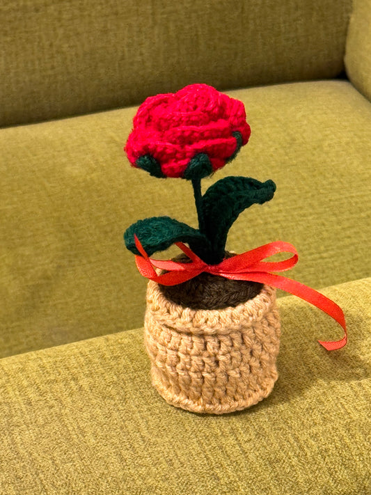 Crochet Rose Pot 🌹