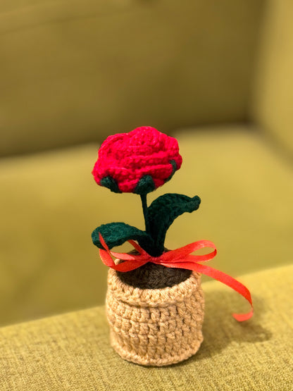Crochet Rose Pot 🌹